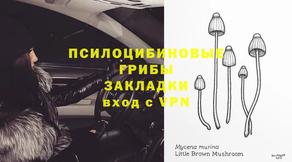 крисы Абаза