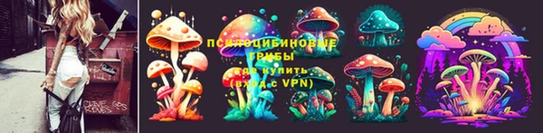 МДПВ Медвежьегорск