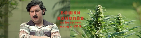 спайс Медногорск