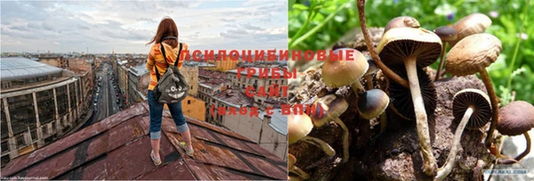 спайс Медногорск