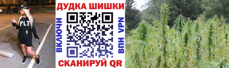 цена Пугачёв Каннабис индика